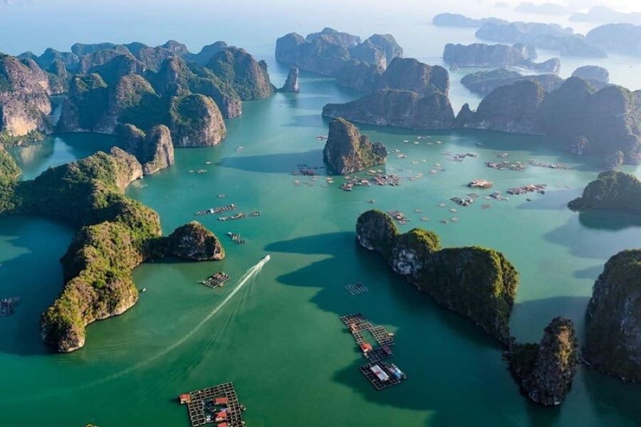 Hạ Long