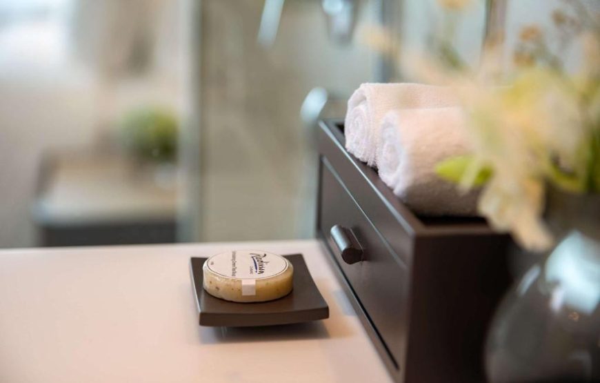 RADISSON HOTEL DA NANG: Deluxe Twin Room