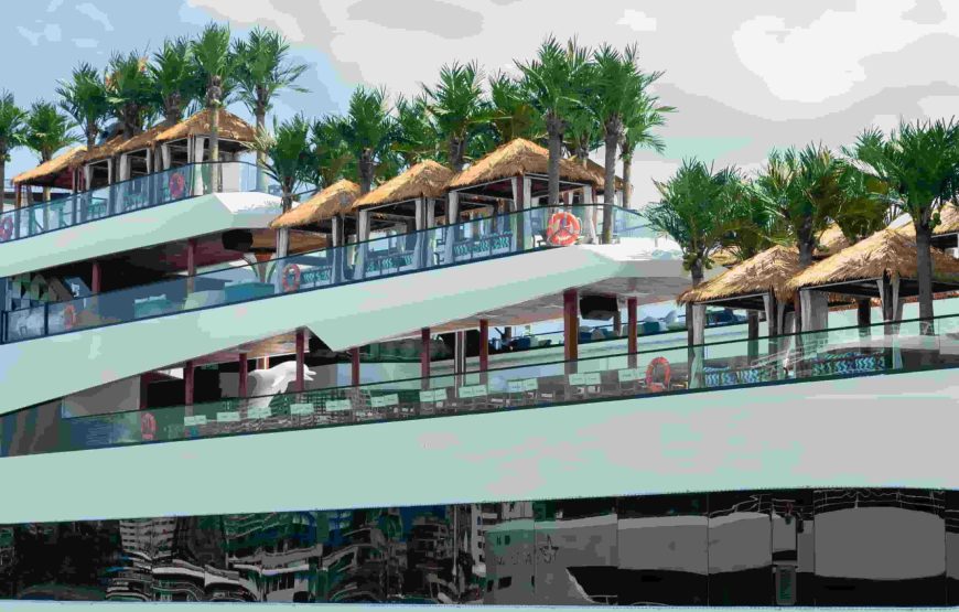 DOLPHIN HALONG CRUISE
